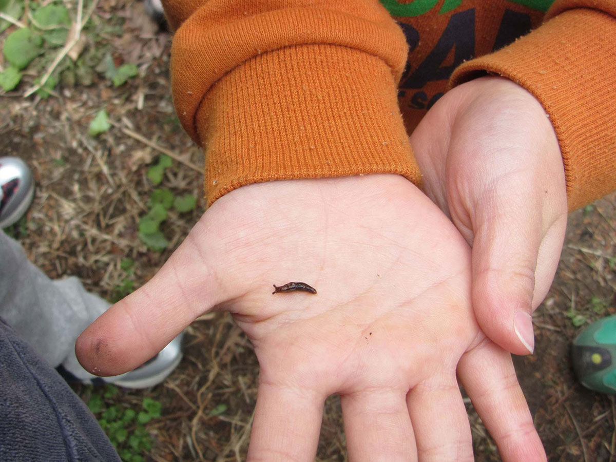 メインイメージ